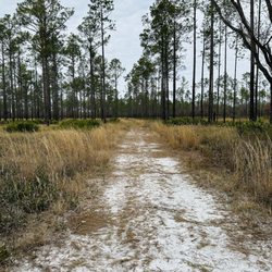 Branan Field Wildlife & Environmental Area