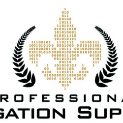 Professional Litigation Support
