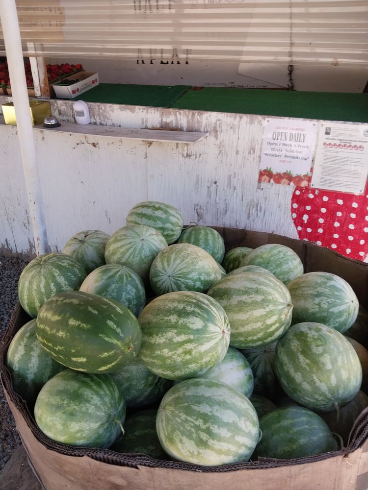 STRAWBERRY STAND Updated August 2024 12 Reviews 151 Fruitvale Rd