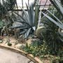 Rockefeller Park