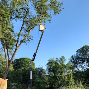 Sicher's TreeWorkz - Tree Services Near Me - Saylorsburg, Pennsylvania Sicher's TreeWorkz - Tree Services Near Me - Saylorsburg, Pennsylvania