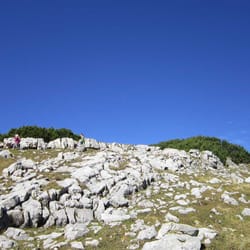 Ziereiner See