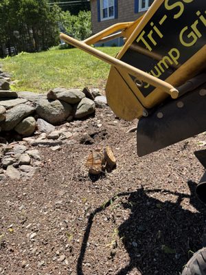 Tri-Son Stump Grinding on Yelp