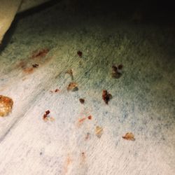 Craig E Amshel, MD - Need help
