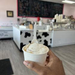 Heyn's Ice Cream - Apple Pie kids scoop
