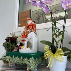 AniKri Foods - Decor