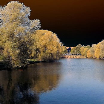 Volkspark Mariendorf - Parks Near Me - Berlin, BE Volkspark Mariendorf - Parks Near Me - Berlin, BE