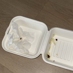 Dead spider and smear on food box