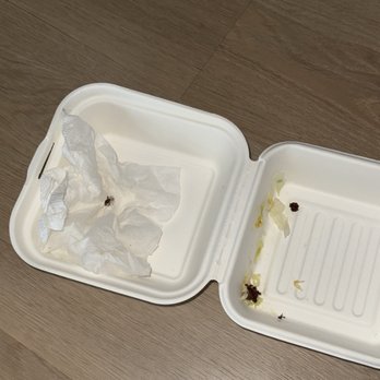 HiHo Cheeseburger | Studio City - Dead spider and smear on food box - New American Near Me - Studio City, California