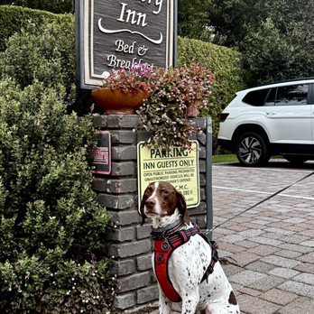 Carmel Country Inn - Wonderful Bed & Breakfast! Great place to stay in Carmel! Big rooms -Dog friendly! - Hotels Near Me - Carmel, California Carmel Country Inn - Wonderful Bed & Breakfast! Great place to stay in Carmel! Big rooms -Dog friendly! - Hotels Near Me - Carmel, California