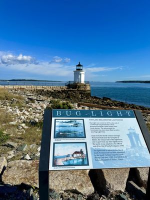 Bug Light Park by null
