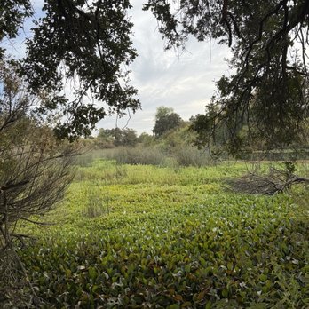 Cosumnes River Preserve - Parks Near Me - Galt, California
