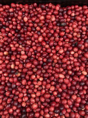 79th Street Greenmarket by null 79th Street Greenmarket by null