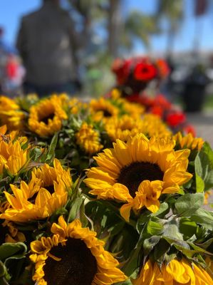 Evergreen Farmers' Market by null