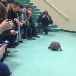 Taking an animal fotography class at the Valley Zoo!!