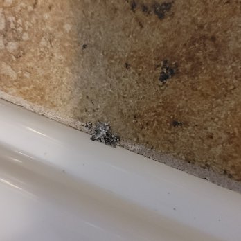 Quality Inn Fort Dodge - More ashes in the bathroom - Hotels Near Me - Fort Dodge, Iowa Quality Inn Fort Dodge - More ashes in the bathroom - Hotels Near Me - Fort Dodge, Iowa