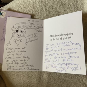 Aurora Animal Hospital - Grieving card - Veterinarians Near Me - Centennial, Colorado Aurora Animal Hospital - Grieving card - Veterinarians Near Me - Centennial, Colorado