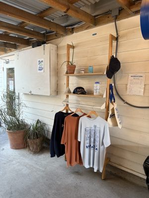 Barracuda Taco Stand by null Barracuda Taco Stand by null