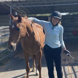 Witherspoon Ranch Arena