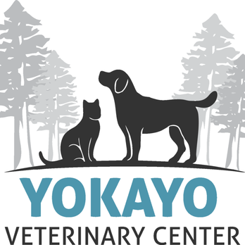 Yokayo Veterinary Center - Veterinarians Near Me - Ukiah, California Yokayo Veterinary Center - Veterinarians Near Me - Ukiah, California