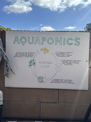 Moonwater Farm by null