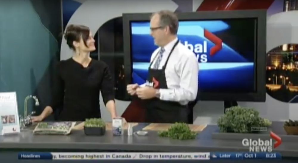 HEARTFOOD HOLISTIC Updated September 2024 Request Consultation