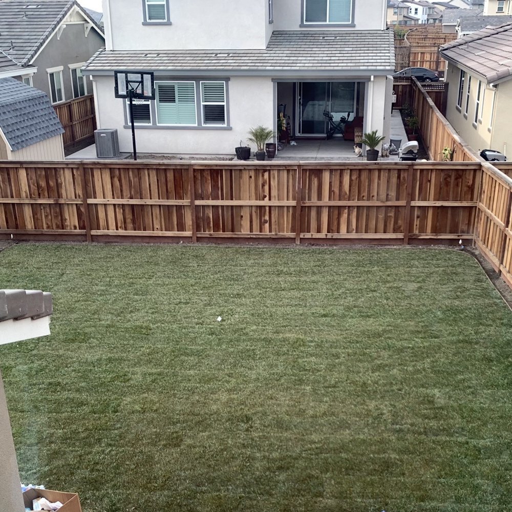 Backyard completed with grass and border as I asked.