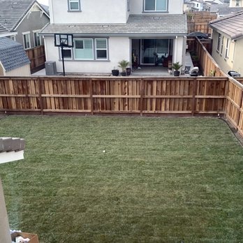 JM Landscape - Backyard completed with grass and border as I asked. - The image shows a backyard with a newly laid grass lawn, bordered by a wooden privacy fence. The yard is enclosed by neighboring houses, with one house having a covered patio area with potted plants and exercise equipment. The yard appears to be in the process of landscaping, with some soil visible in the corners. The scene is captured from an elevated perspective, possibly from a second-story window or balcony. - Landscaping Near Me