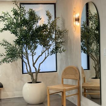 SAE Cafe - Ambiance 10 - Coffee & Tea Near Me - Hollywood, Florida SAE Cafe - Ambiance 10 - Coffee & Tea Near Me - Hollywood, Florida