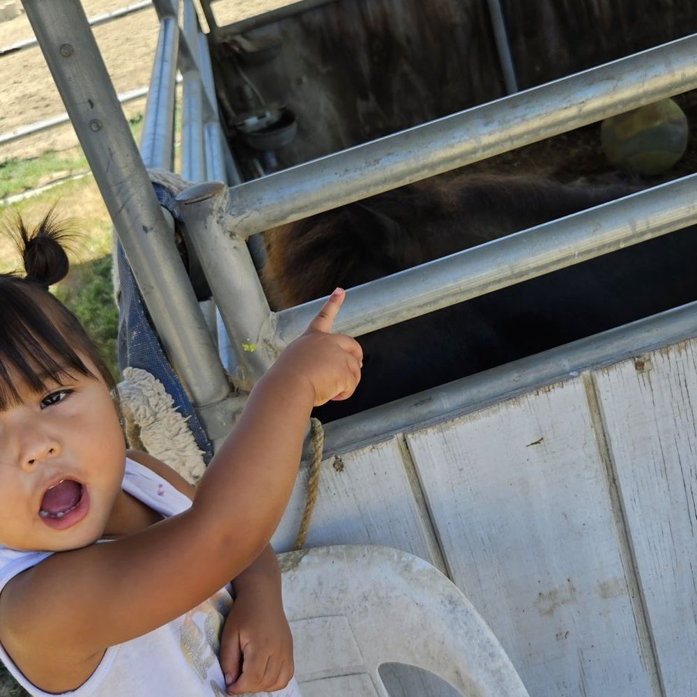 Summer horse camp Summer horse camp