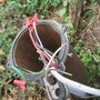 Photo of Seep Joseph Plumbing Electrical & Excavating
