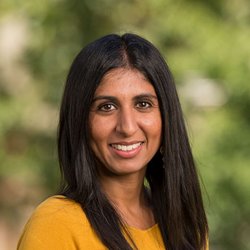 Shalini L Bhambani, M.D