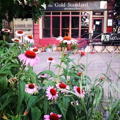 The Gold Standard Cafe by null