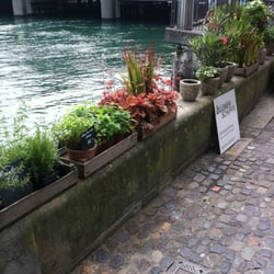 Blumen Schipfe
