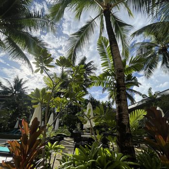 Henann Garden Resort - Garden - Resorts Near Me - Makati, NCR