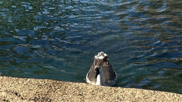 Laguna Lake Park by null