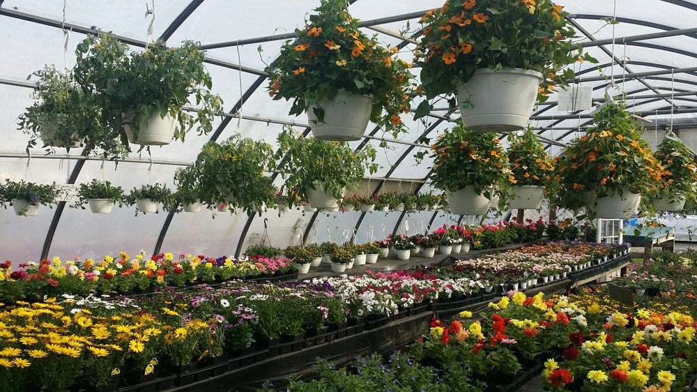 CEDAR POST FARM MARKET WEST 22 Photos & 11 Reviews Fruits & Veggies