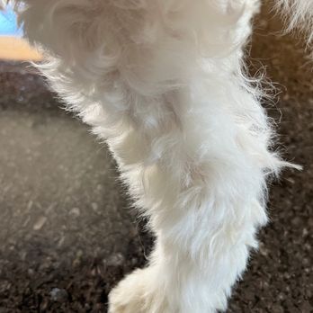 Bark & Bubble - Pet Groomers Near Me - Ellensburg, Washington Bark & Bubble - Pet Groomers Near Me - Ellensburg, Washington