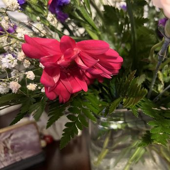 Posy Pot - Florists Near Me - Bluffton, Indiana