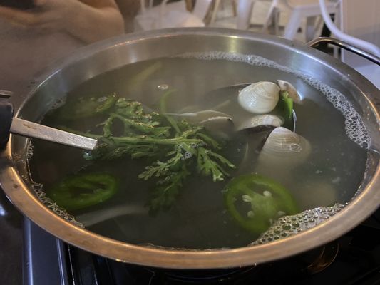 Pocha is Back by null