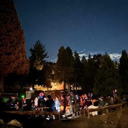 Pilgrim Pines Camp