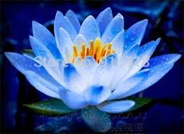 Integrative Psychotherapy - grief counselor in Rocklin, CA