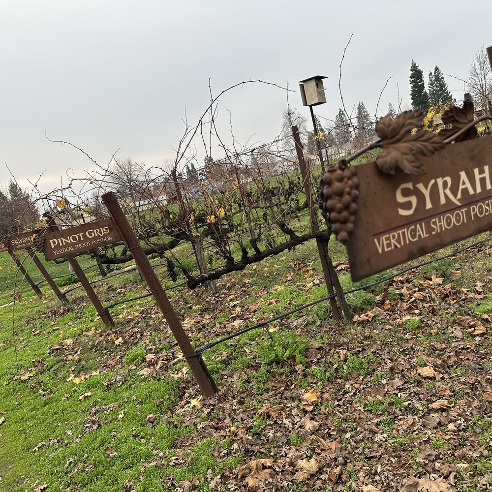 Åppellation - Vineyard walk with a few rows - Venues & Event Spaces Near Me - Lodi, California Åppellation - Vineyard walk with a few rows - Venues & Event Spaces Near Me - Lodi, California