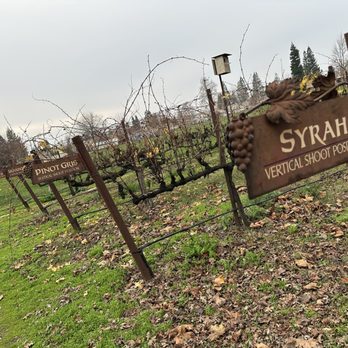 Åppellation - Vineyard walk with a few rows - Venues & Event Spaces Near Me - Lodi, California