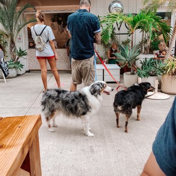 Arvo Café - Cafes Near Me - Honolulu, Hawaii
