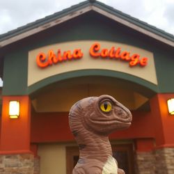 China Cottage - Bob the Raptor Says "I wonder if they have cottage cheese!"