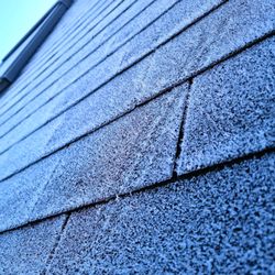Arlanza Roofing