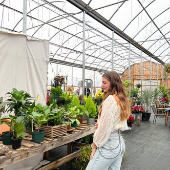 Crazy Daisies - Greenhouse - Nurseries & Gardening Near Me - Syracuse, New York