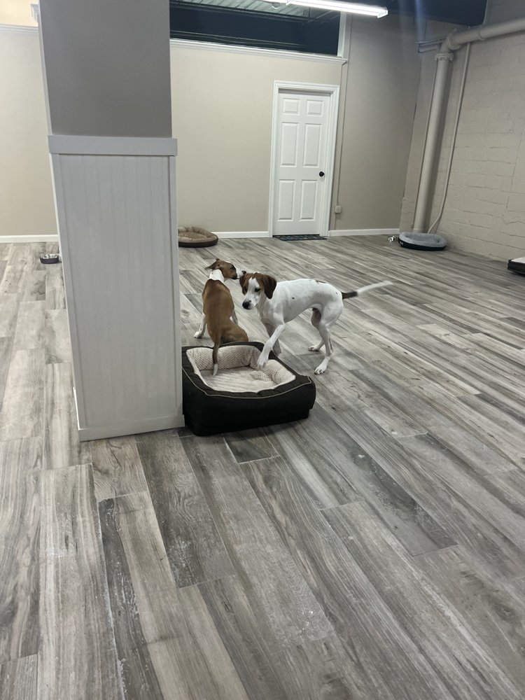 THE BARKSTONIAN 15 Photos 11 Franklin St, Salem, Massachusetts