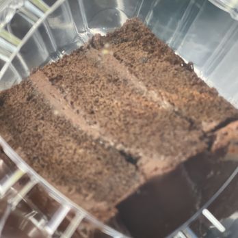 Soul & Seafood House - Chocolate Cake - Seafood Near Me - Aiken, South Carolina